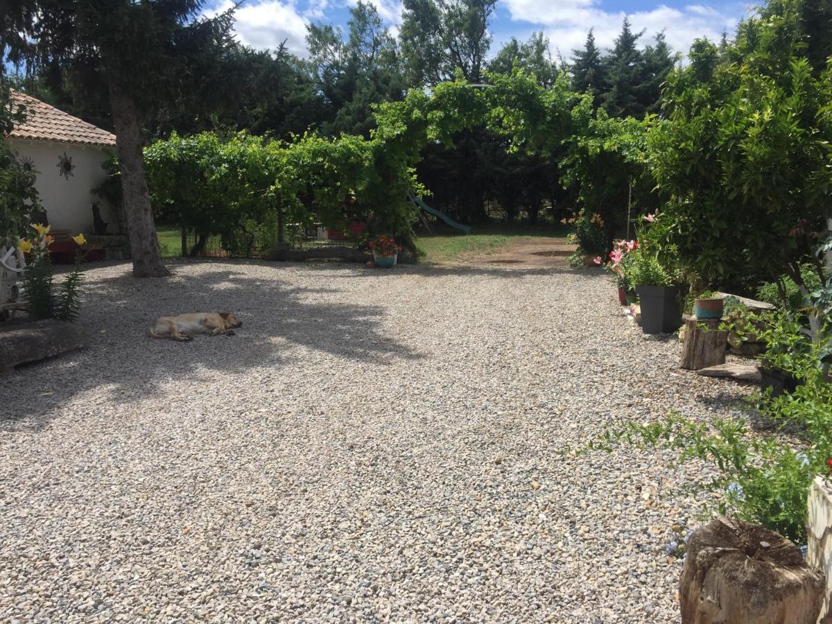 Hotel mazet provençal à Saint-Gilles  Extérieur photo