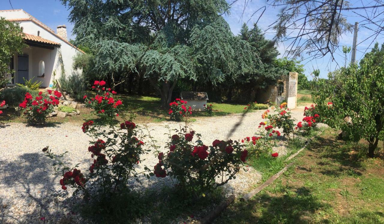 Hotel mazet provençal à Saint-Gilles  Extérieur photo